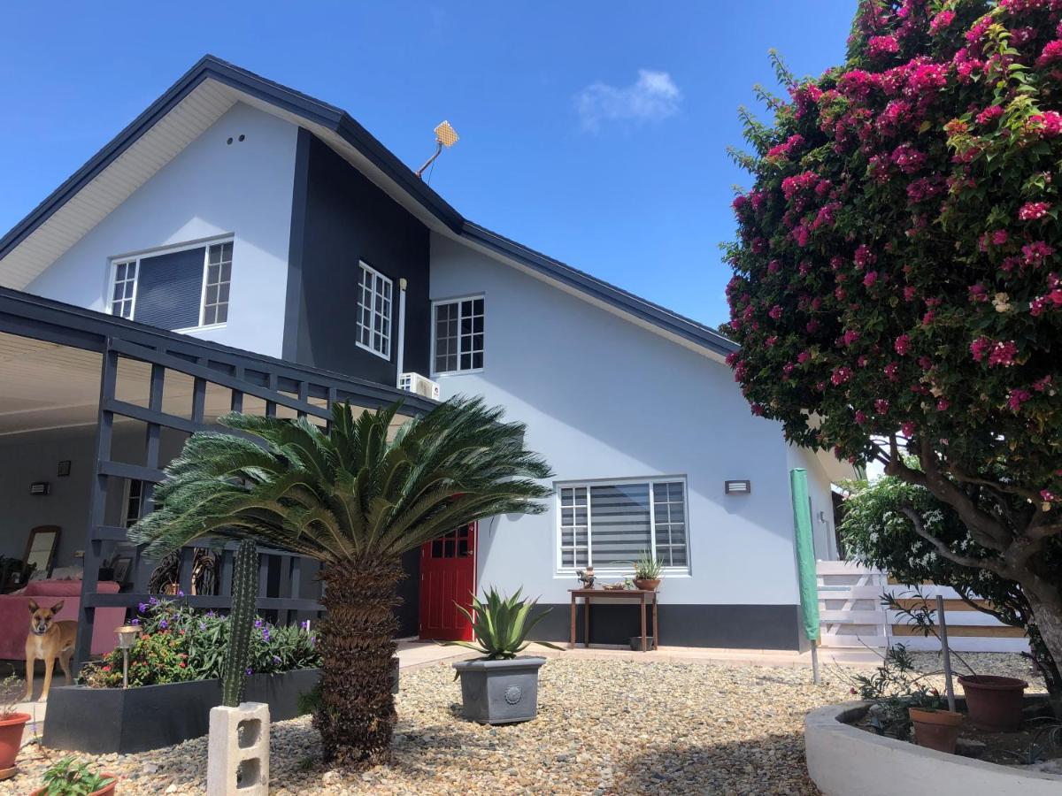 Palmhouse Apartments Aruba 1- 4 Persons Savaneta Esterno foto