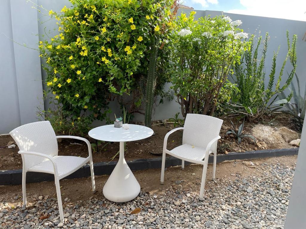 Palmhouse Apartments Aruba 1- 4 Persons Savaneta Esterno foto