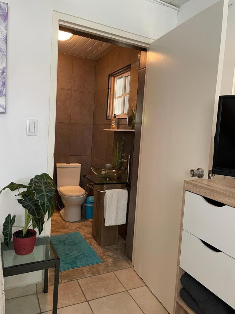 Palmhouse Apartments Aruba 1- 4 Persons Savaneta Esterno foto