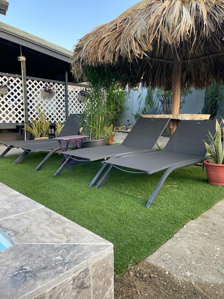 Palmhouse Apartments Aruba 1- 4 Persons Savaneta Esterno foto
