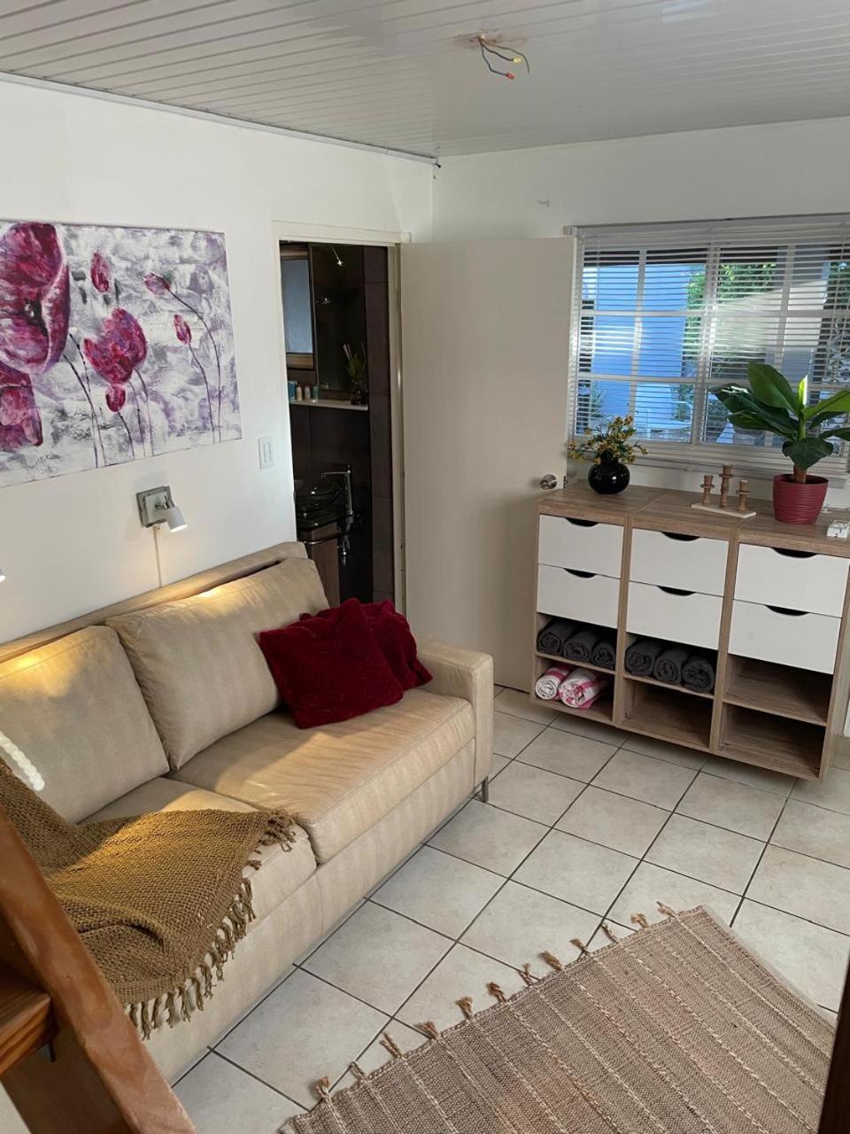 Palmhouse Apartments Aruba 1- 4 Persons Savaneta Esterno foto